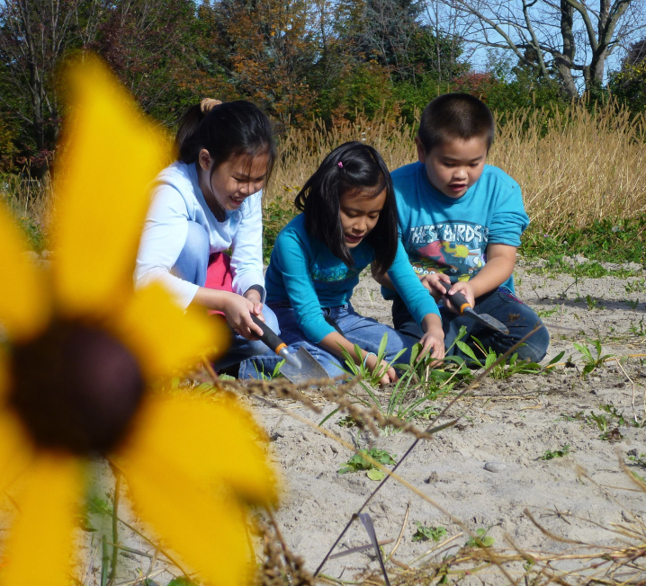 Three children gardening