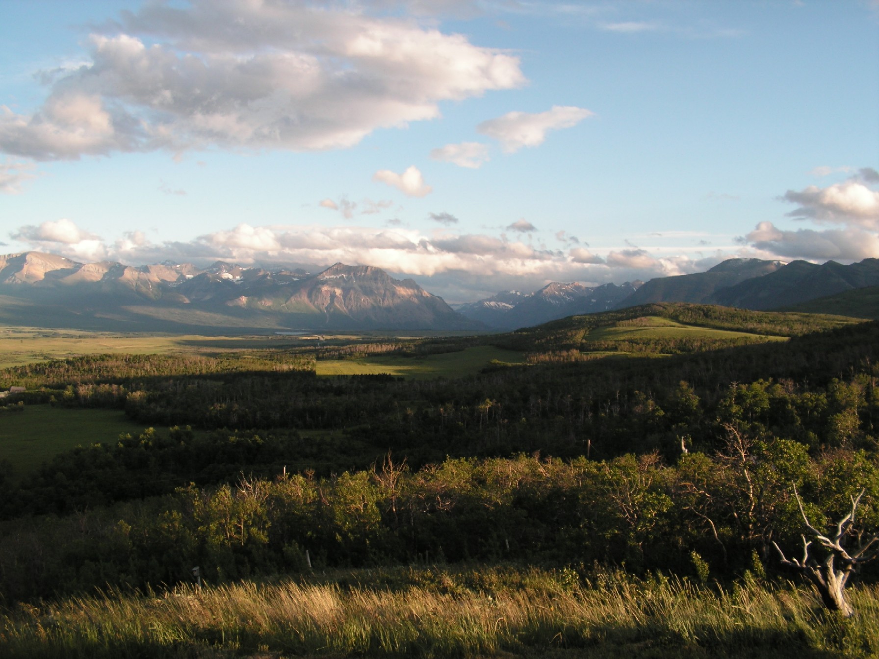 Landscape photo of the Waterton view from Hawks Nest Ranch