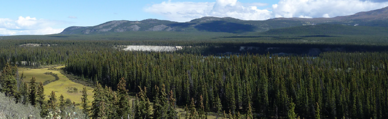 Landscape photograph of forest and mountains in the north of Canada