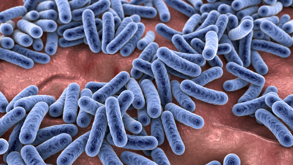 A 3D illustration showing a close up of bacteria