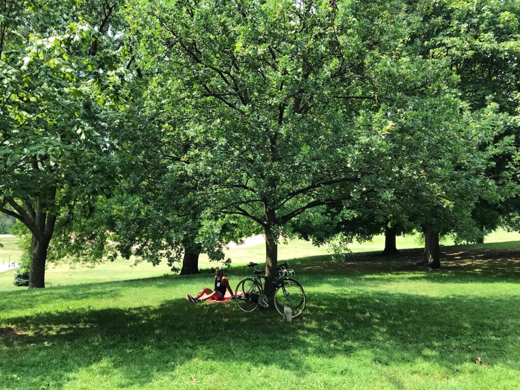 A person rests in the shade under a tree in Riverdale Park East