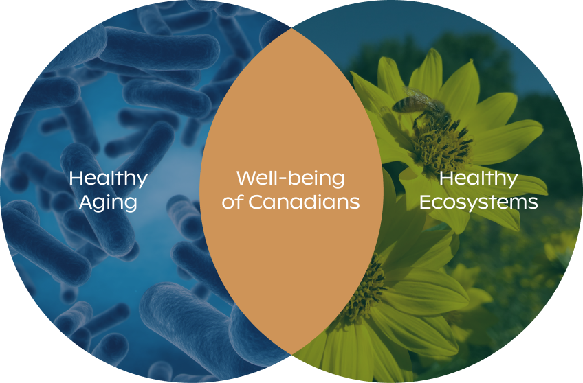 The Weston Family Foundation invests in innovation and learning in Health and Landscapes to deliver measurable impacts to the well-being of Canadians.