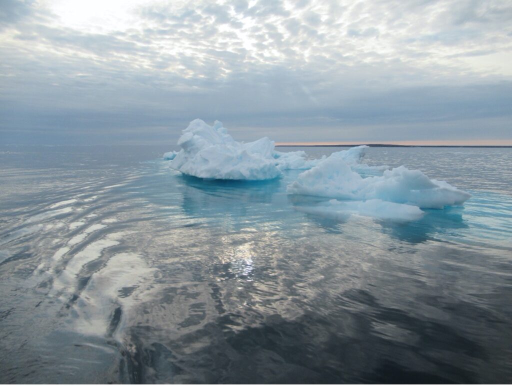 A floating iceberg