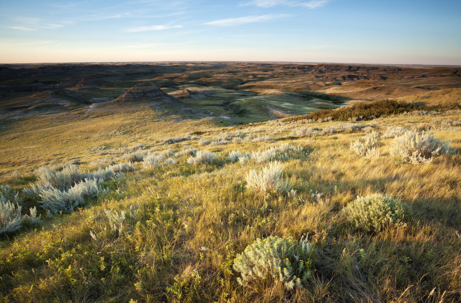 2025 Weston Family Prairie Grasslands Initiative | Weston Family Foundation